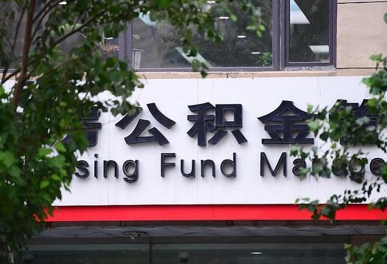 阿里公积金提取周期一个月啥意思（公积金 提取 周期）